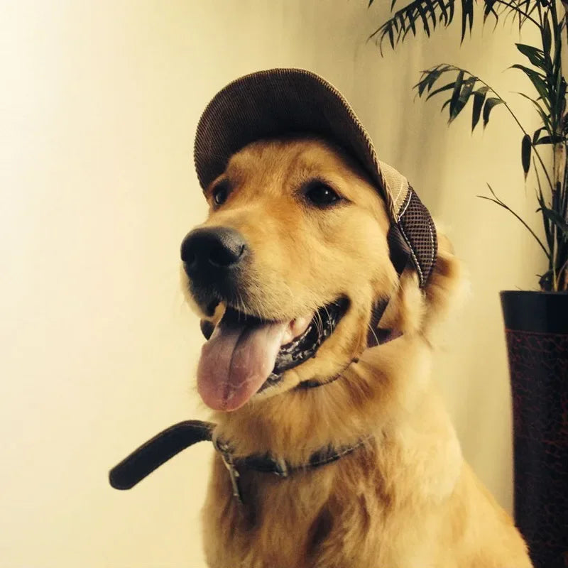 Dog Hat Dog Sunscreen Cap Baseball Cap Outdoor Sports Hat Ear Holes Adjustable Pet Cap Small To Medium Dog Large Dog - El rincón de Dolly y Chilo