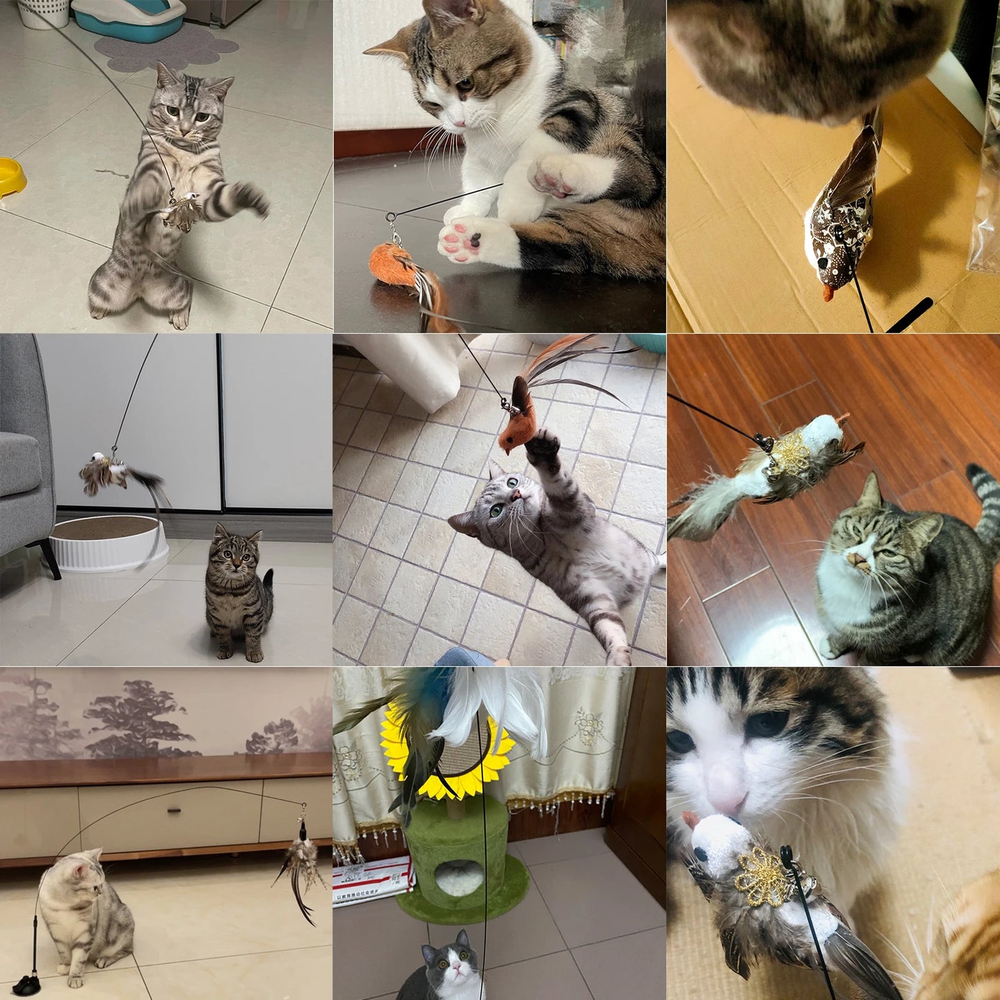 Varita handfree de ejercicio para gatos (hecho de materiales sintéticos) - El rincón de Dolly y Chilo