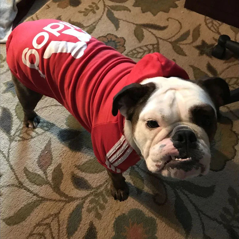 Simpáticos Hoodies para perros y gatos!!! - El rincón de Dolly y Chilo
