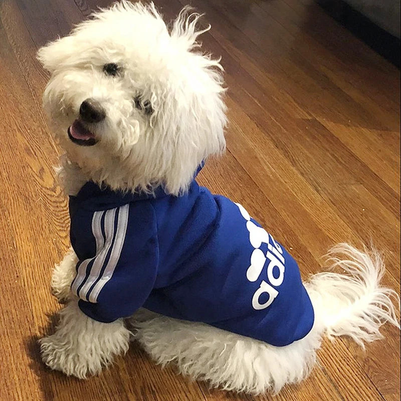 Simpáticos Hoodies para perros y gatos!!! - El rincón de Dolly y Chilo