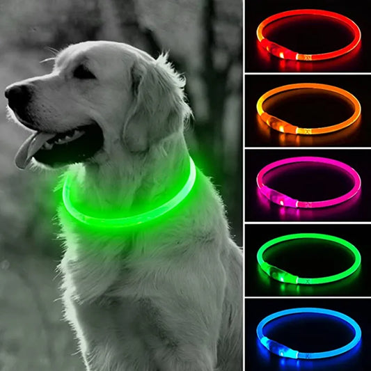 Collar Led para perros y gatos con cargador USB - El rincón de Dolly y Chilo