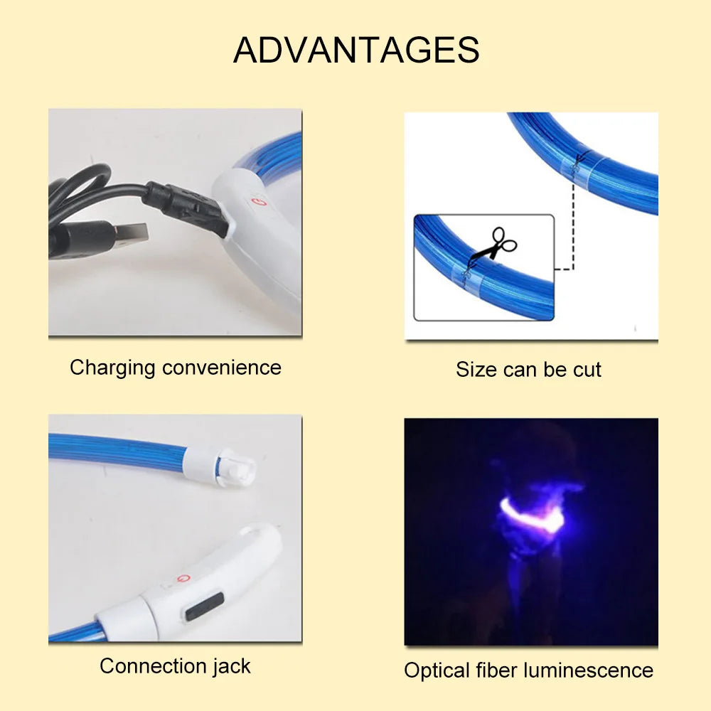 Collar Led para perros y gatos con cargador USB - El rincón de Dolly y Chilo