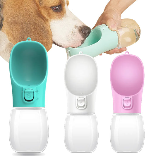 Súper dispensador de agua para perros y gatos - El rincón de Dolly y Chilo