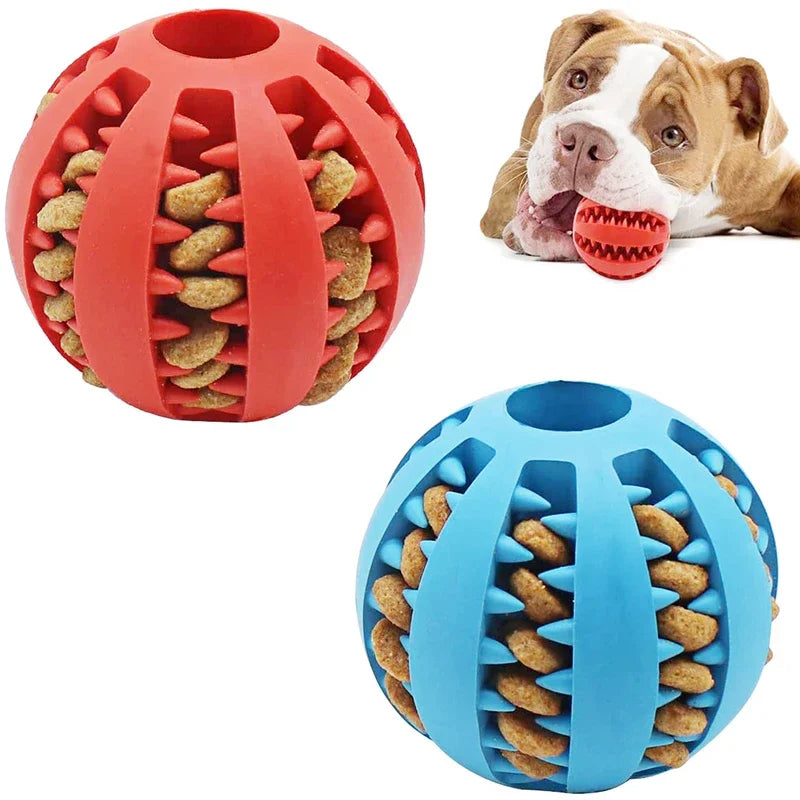 Excelente pelota de juguete para entreno y limpieza dental - El rincón de Dolly y Chilo