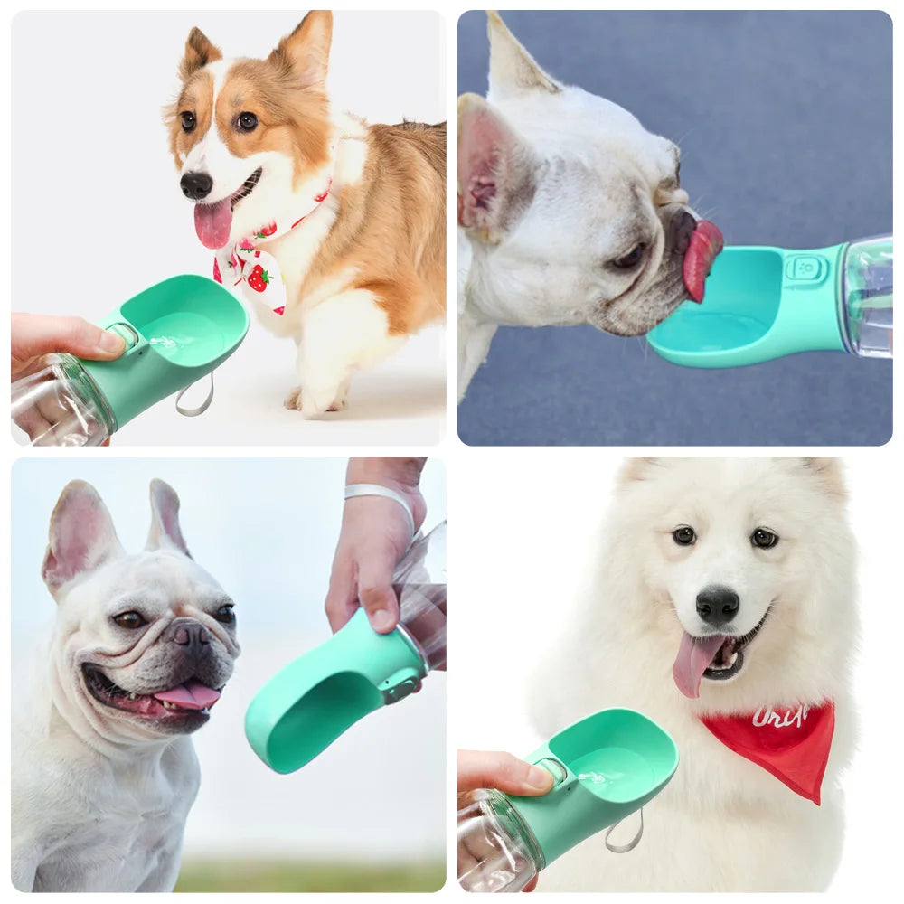 Súper dispensador de agua para perros y gatos - El rincón de Dolly y Chilo