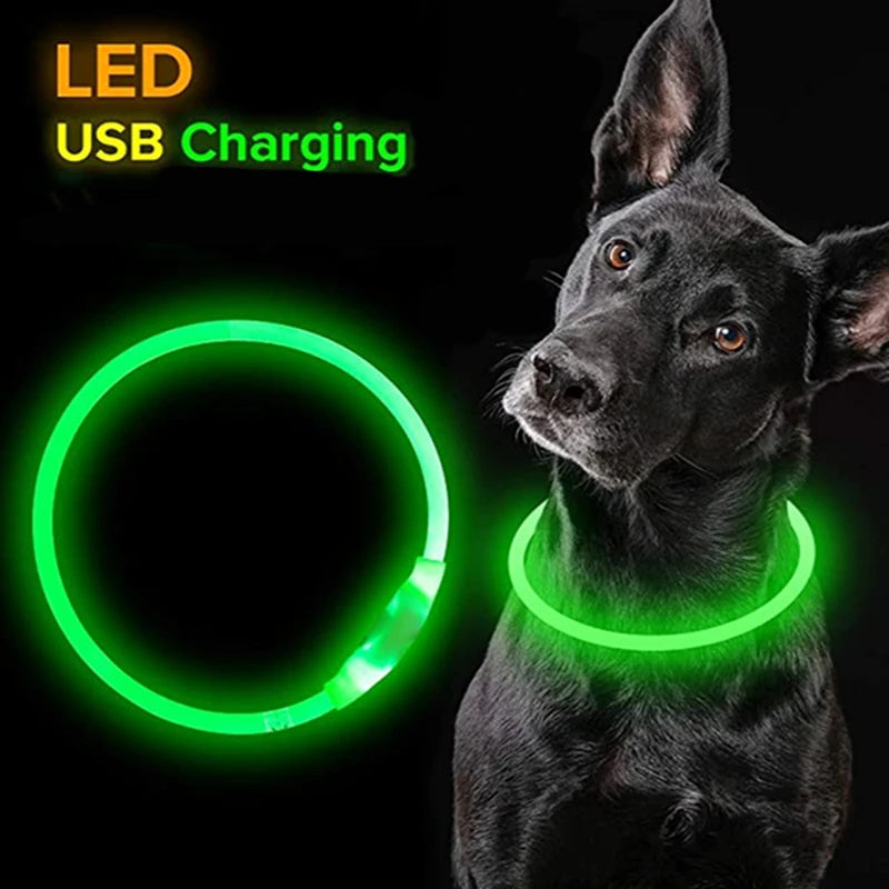 Collar Led para perros y gatos con cargador USB - El rincón de Dolly y Chilo