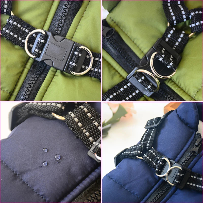 Chaqueta grande para perro con arnés incluido - El rincón de Dolly y Chilo