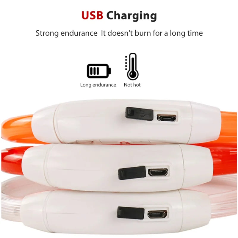 Collar Led para perros y gatos con cargador USB - El rincón de Dolly y Chilo
