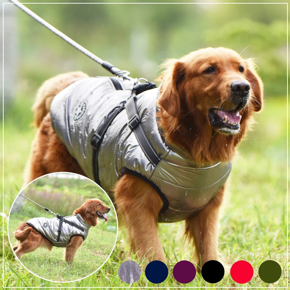 Chaqueta grande para perro con arnés incluido - El rincón de Dolly y Chilo